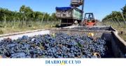 Ya no esperan que mejoren las ventas de vino: apuntan a la reconversión y mejorar rentabilidad 