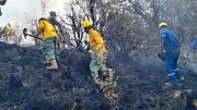 Gobierno reporta que hay seis incendios activos en el país