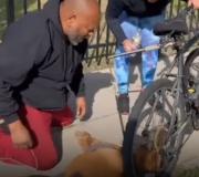 De esta manera un hombre le salvó la vida a un perrito en plena calle (+Video)