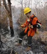 Bolivia reporta seis incendios activos