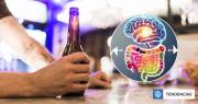 Descubren que hongo intestinal influiría directamente en el consumo de alcohol, por medio del cerebro