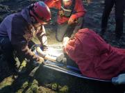 Rescate en el parque Lanín: una turista se fracturó mientras descendía un cerro y tuvo que ser evacuada en camilla