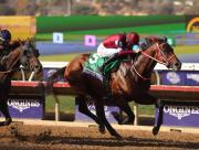 Conozca la hazaña que logra Forever Young tras ganar la Breeders’ Cup Classic (G1)