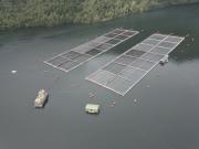 AquaChile: Comprometida con el bienestar y desarrollo de Aysén