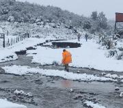 Emprendedora de Puerto Tranquilo: Se necesitan planes de emergencia más sólidos
