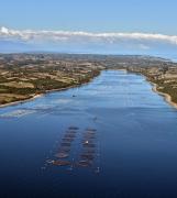 Estudio instala a la industria del salmón en séptimo lugar al pensar en el futuro de Aysén