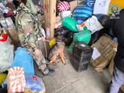 Tarija: Incautan narco encomienda de marihuana