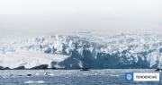 Un glaciar de la Antártica se redujo un 50% en solo 2 meses: La velocidad de retroceso es increíble
