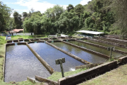 Min-Pesca Mérida impulsa el desarrollo acuícola en la Estación Experimental Truchícola La Mucuy