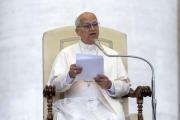 El papa León XIV reza para que encuentren ayuda quienes combaten con pensamientos suicidas