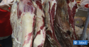 Región de Los Lagos: producción de carne bovina en vara aumentó durante septiembre