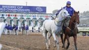 ¡Tremendo lio! Los dueños de White Abarrio están considerando alternativas legales después del retiro en la Breeders Cup