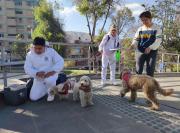 Salud anuncia campaña nacional de vacunación contra la rabia para el 29 y 30 de noviembre con 3,4 millones de dosis