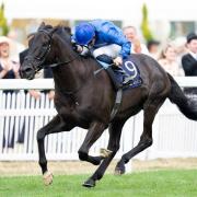 “Siempre será mi mejor amigo” Así dijo el jinete de Rebels’ Romans luego de su segundo en la Breeders’ Cup Turf (G1)