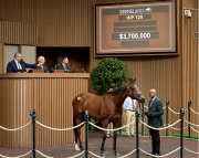 Keeneland: El primer día vendió 129 ejemplares con un valor de $74.299.000