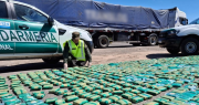 Interceptaron en San Juan un camión que llevaba a Chile más de 300 kilos de hojas de coca escondidos