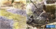 MMA confirma que aguas servidas de Curarrehue son vertidas directamente al río Trancura