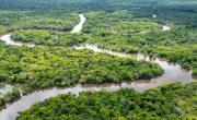 Murió el pulmón del planeta: qué sucedió con el oxígeno del Amazonas