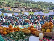 Municipios y territorioslibres de minería