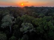 La Amazonia y el mito del “pulmón del planeta”: qué dice la ciencia