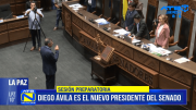Diego Ávila Navajas, nuevo presidente de la Cámara de Senadores 2025-2026