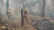 Bolivia reduce en 97% las hectáreas quemadas, aunque persisten dos incendios activos en Santa Cruz