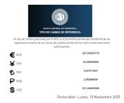 Próximo lunes #10Nov el dólar oficial tendrá de un valor de 231,04, según BCV