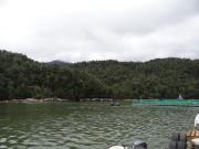 Infracciones ambientales: SMA sanciona a salmonera Cooke y ordena clausura de dos centros