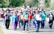 Multitudinaria caminata de adultos mayores se realizó en la capital maulina