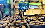 Oro Verde: Precios de Paltas se disparan y sobrepasan los $5.000 por kilo.
