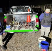 Secuestran 40 piezas y equipos de pesca ilegal en el sur de Río Negro en Limay Chico y Alicurá