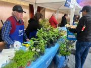 Inicia la novena temporada de la Feria Gourmet Local en Punta Arenas