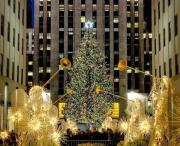 Árbol de Navidad que iluminará el Rockefeller Center ya está en Nueva York (+Video)