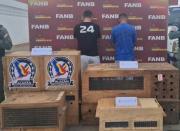 Dos hombres detenidos en Bolívar por tráfico de monos viudita