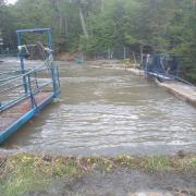 Corte preventivo de suministro de agua en Puerto Williams por turbiedad