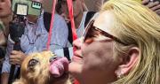 Un reencuentro feliz: Jeanine Añez vuelve a abrazar a su perrito Reinaldo tras casi cinco años