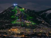 Encenderán las luces del árbol de Navidad más grande del mundo