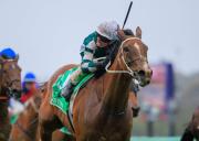 ¡Back to Back! Via Sistina se adjudicó el Champions Stakes en la jornada final del Carnival Cup 2025