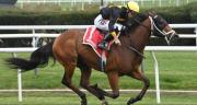 Dupla venezolana gana Stakes valorado por $150.000 en New York