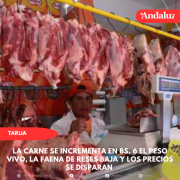 La carne se incrementa en bs. 6 el peso vivo, la faena de reses baja y los precios se disparan