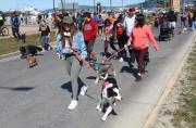 La Costanera del Estrecho vivió la tercera corrida Dog Lovers