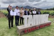 Bolivia celebra su primera efeméride vitivinícola con Ley del Tannat