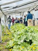 Jóvenes rurales derriban el mito del campo sin relevo y apuestan por la agroecología