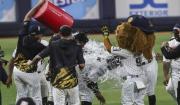 Leones del Caracas se llevó el Equipo de la Semana en la LVBP