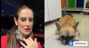 El tumor se reventó: Adriana Barrientos revela complejo estado de su perrita Asia