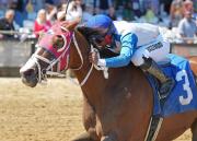 Jinete venezolano está a tiro de conseguir 100 victorias en Estados Unidos