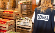 Menos controles para alimentos importados: el Gobierno limita a Senasa y ANMAT