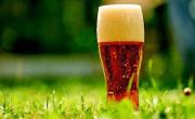 Ponerle cerveza al pasto: el truco casero más simple para que tu jardín florezca en primavera