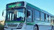 Paro de colectivos hoy en el AMBA: a qué líneas afecta la medida de fuerza