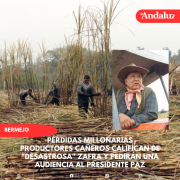 Productores cañeros califican de desastrosa zafra y pedirán una audiencia al presidente Paz